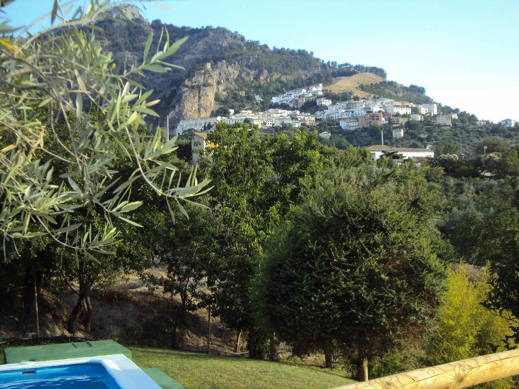 Finca Los Prados